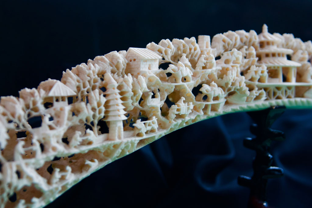 ivory - found @ the zoo - © Tom Loewen | 14x3.de